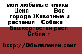 мои любимые чижки › Цена ­ 15 000 - Все города Животные и растения » Собаки   . Башкортостан респ.,Сибай г.